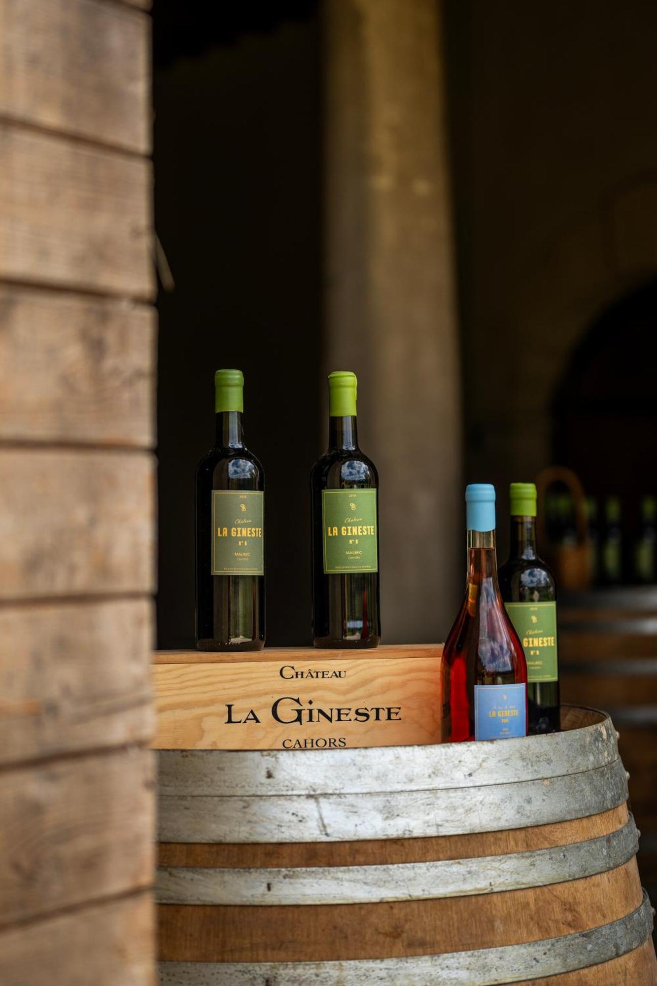 Chateau La Gineste - Castle And Vineyard Duravel Ngoại thất bức ảnh