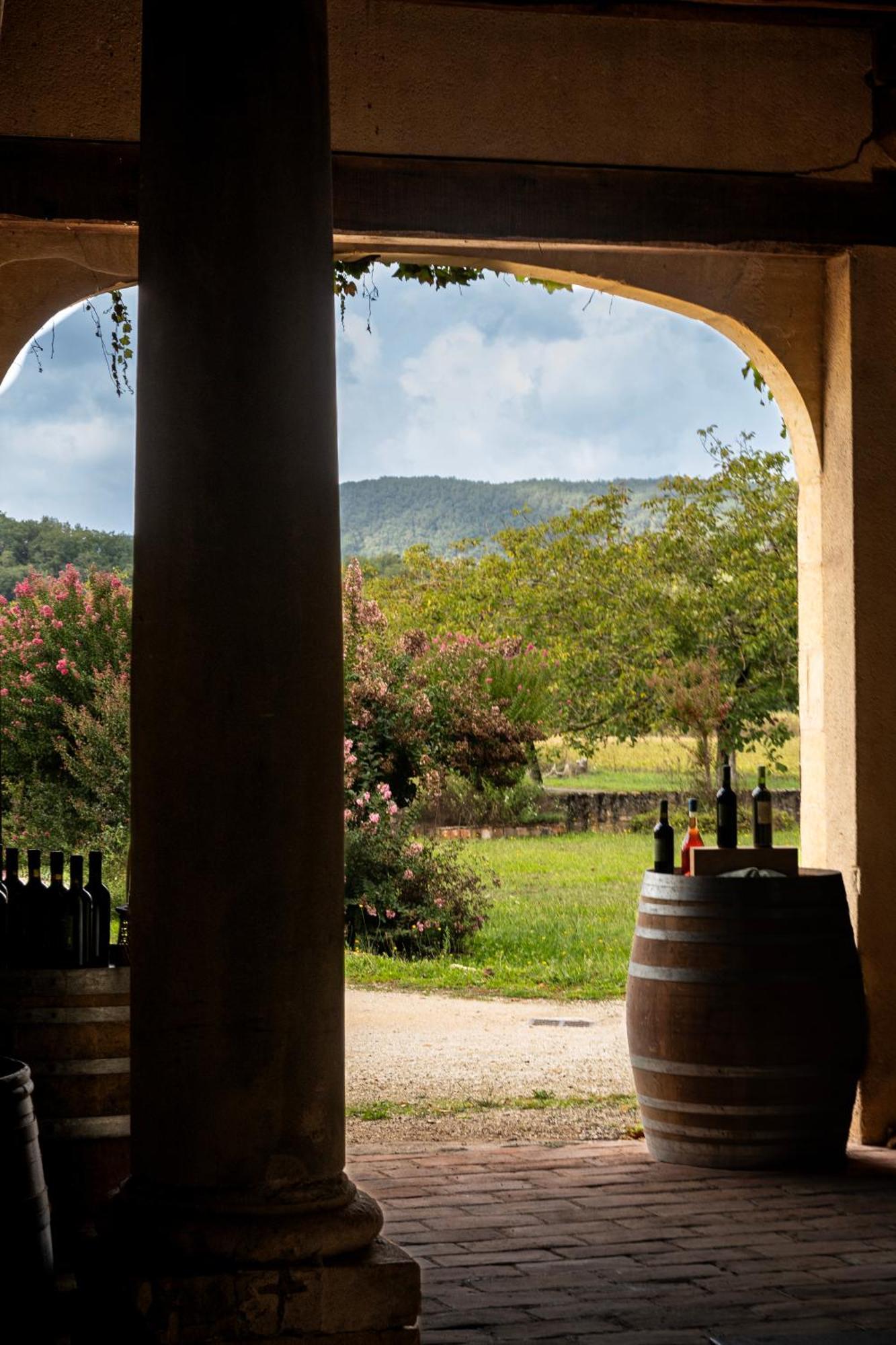 Chateau La Gineste - Castle And Vineyard Duravel Ngoại thất bức ảnh